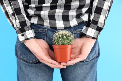 Cactus butt_web.jpg